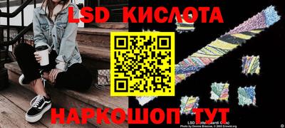 прущие грибы Жуковский