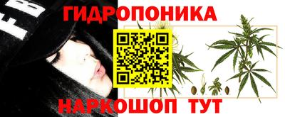 экстази Заводоуковск
