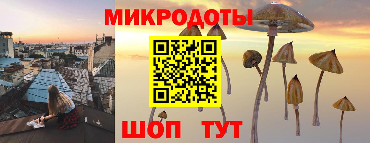 Кушва  Галлюциногенные грибы Magic Shrooms  Вход с VPN  Псилоцибиновые грибы Psilocybine cubensis 